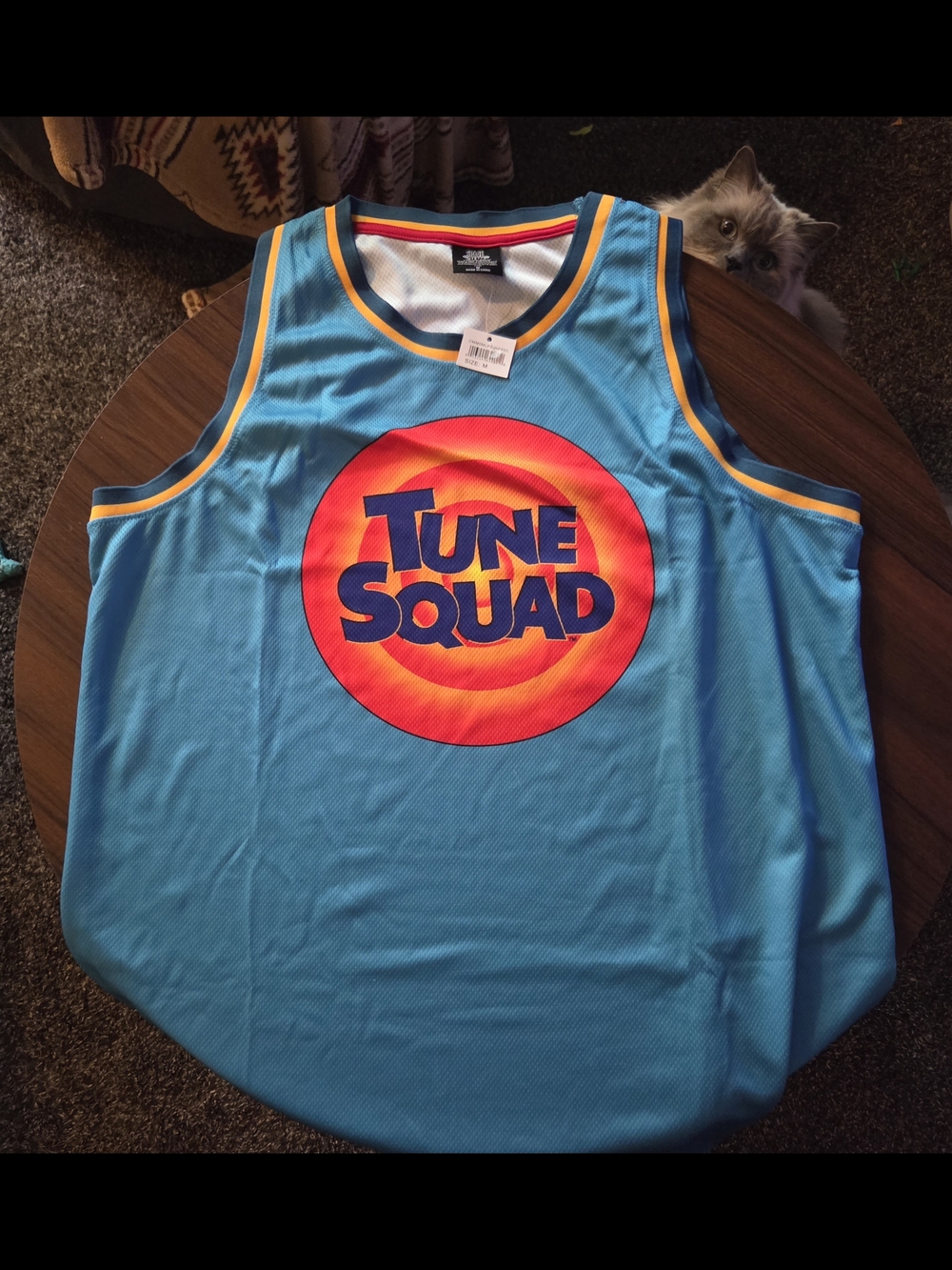 Space Jam Tune Squad Blue Mens Basketball Jersey And Shorts New With Tags